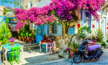 ÇEŞME - ALAÇATI - ŞİRİNCE - SIĞACIK