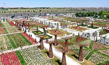 LAVANTA BAHÇELERİ KONYA TURU